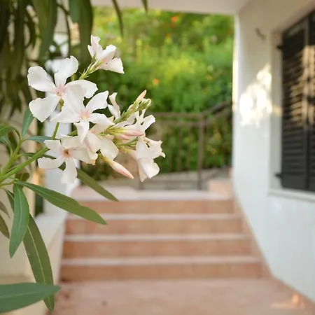 House Maja Apartman