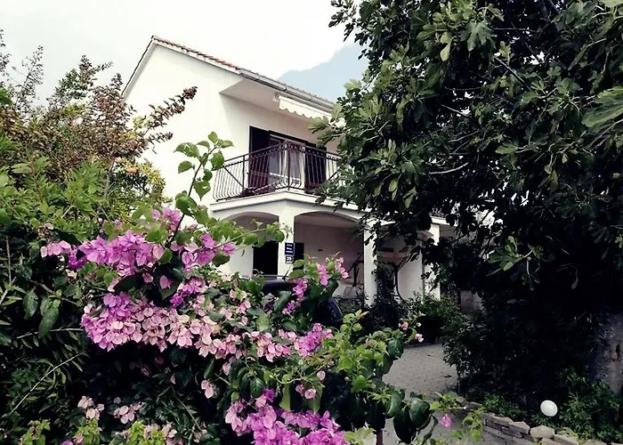 House Maja Podglavica