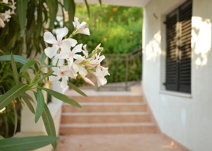 House Maja Appartement